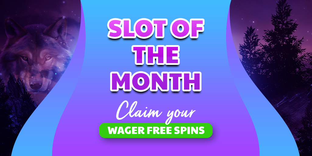 Guide complet pour bien débuter sur Wolfy Casino