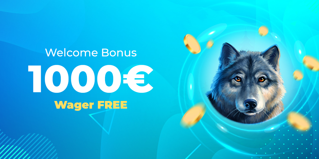 Inscription Casino Wolfy France : tout ce qu’il faut savoir