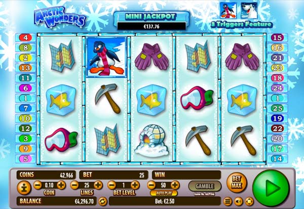 Arctic Wonders