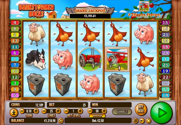 Barnstormer Bucks