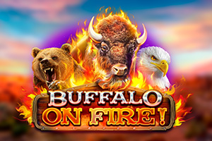 Buffalo On Fire